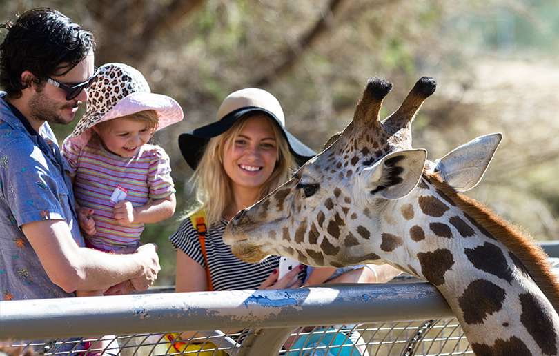 family day trips abu dhabi