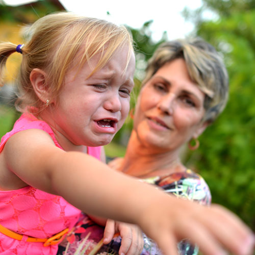 How to deal with the terrible twos