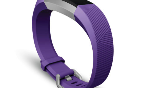 Fitbit Ace for Kids in the UAE