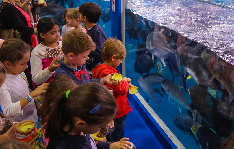 The Dubai Aquarium Junior Biologist Program