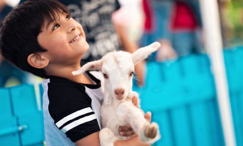 A petting zoo has opened at a Dubai shopping mall