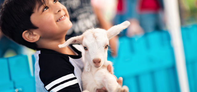 A petting zoo has opened at a Dubai shopping mall