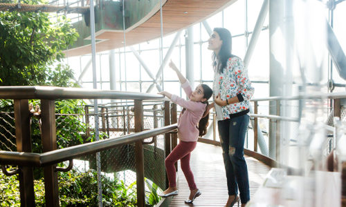 Kids get FREE entry to The Green Planet this Ramadan!