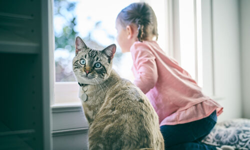 Children and pets: Top tips to encourage playtime with furry friends