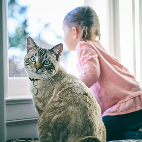 Children and pets: Top tips to encourage playtime with furry friends