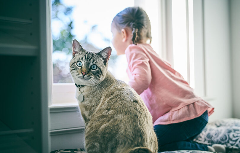 Children and pets: Top tips to encourage playtime with furry friends