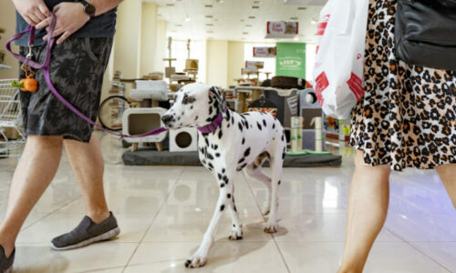 The Pet Shop Dubai to host World Animal Day celebration