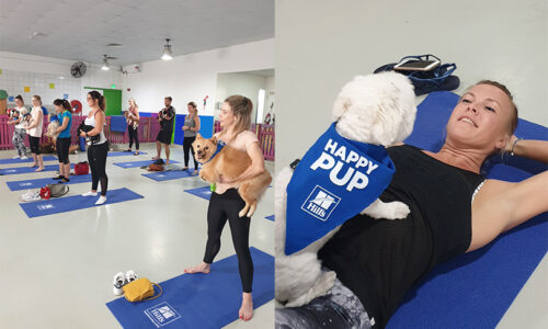 Puppy pilates returns to Dubai this December