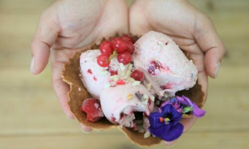 Recipe: Banana, Mint Choco Raspberry Nice Cream