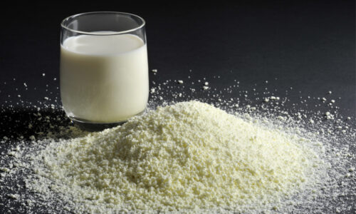 Dietician’s View: What Milk Choices are Best for Your Child?