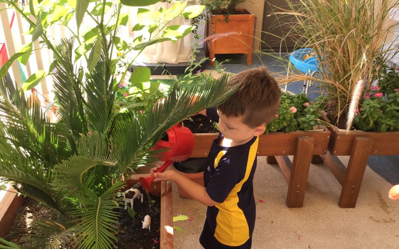 Nature-based education at Fairgreen School