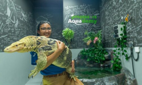 Nominate a teacher to host a class from The National Aquarium