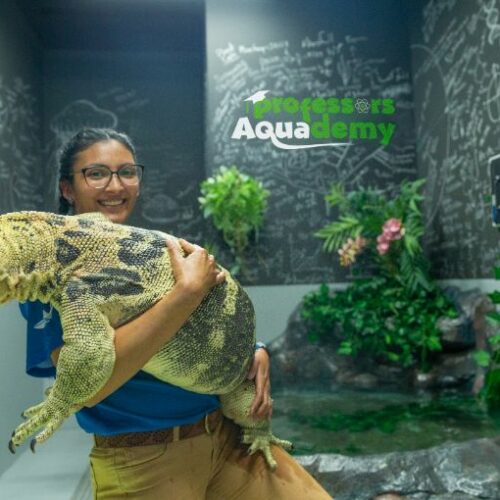 Nominate a teacher to host a class from The National Aquarium