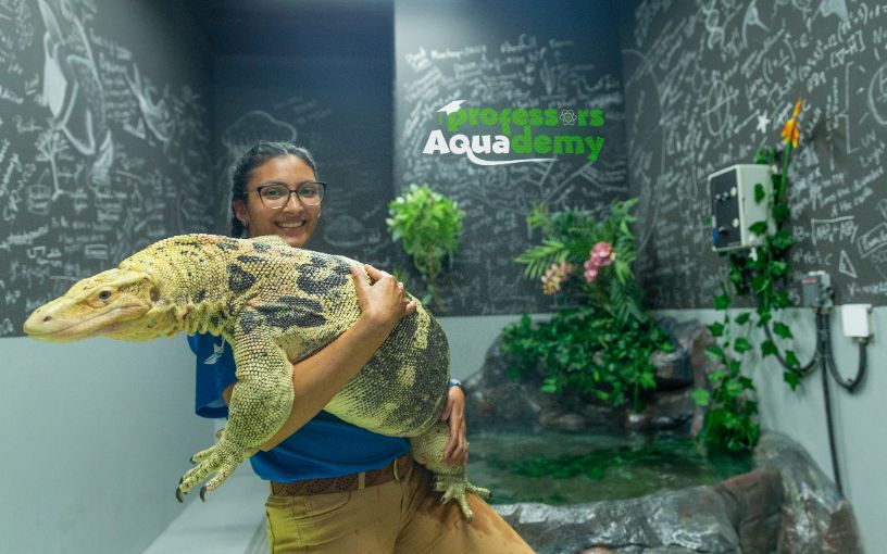 Professor, the water monitor lizard, at The National Aquarium in Abu Dhabi