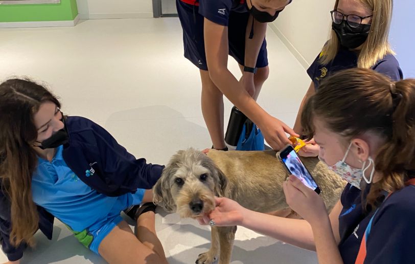 Fairgreen's 'Furry Counsellor' Rufus the Dog plays his part in student wellbeing