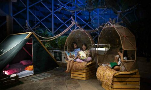 Embark on a Rainforest Camping Experience at The Green Planet