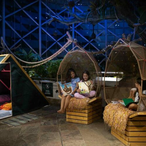 Embark on a Rainforest Camping Experience at The Green Planet