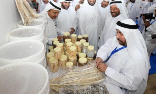 Sharjah Al Maleh & Fishing Festival until 11th Sept