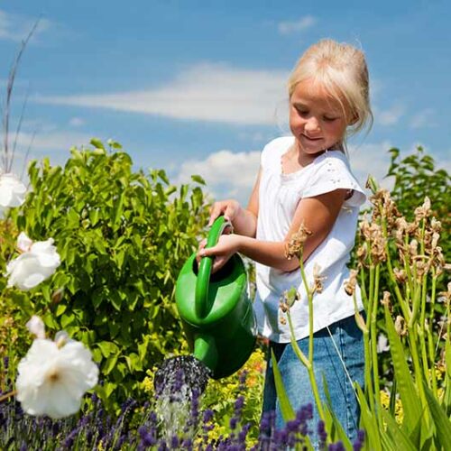 How gardening nurtures children