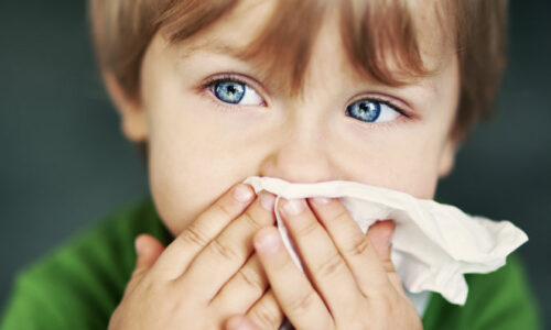 The differences between a cold and an allergy