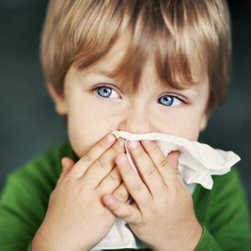 The differences between a cold and an allergy