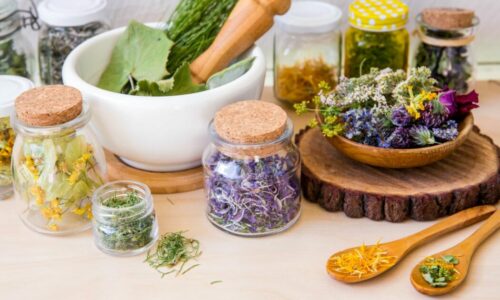 How homeopathy can help your family’s health