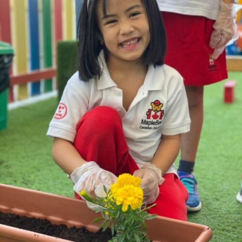 How we’re making sustainable thinking intuitive to the early years learner at Maple Bear Nursery