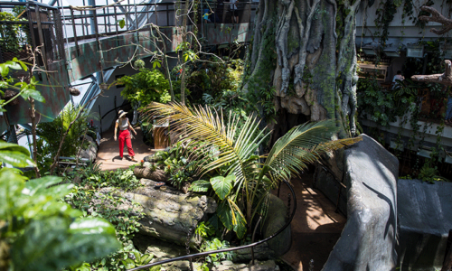 WIN ‘ZOOKEEPER EXPERIENCE’ DAY PASSES AT THE GREEN PLANET, WORTH AED2,460