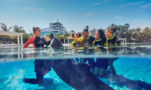 Dolphin Bay at Atlantis Aquaventure launches three no-contact programs to promote ocean conservation