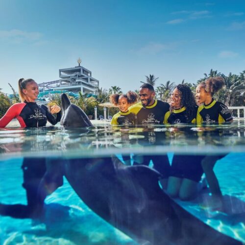 Dolphin Bay at Atlantis Aquaventure launches three no-contact programs to promote ocean conservation