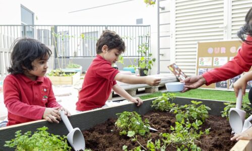 How to encourage sustainable entrepreneurship in early learners