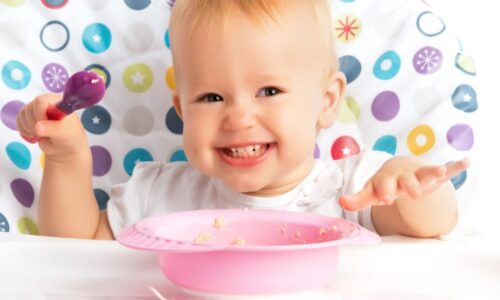 The best of baby food