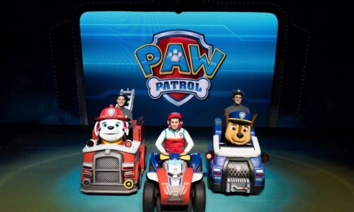 Top 5 life lessons children can learn from Paw Patrol