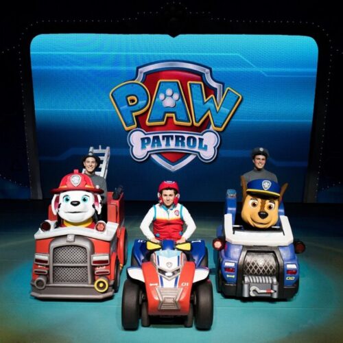 Top 5 life lessons children can learn from Paw Patrol