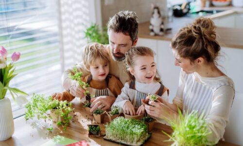 The benefits of planting a family herb garden