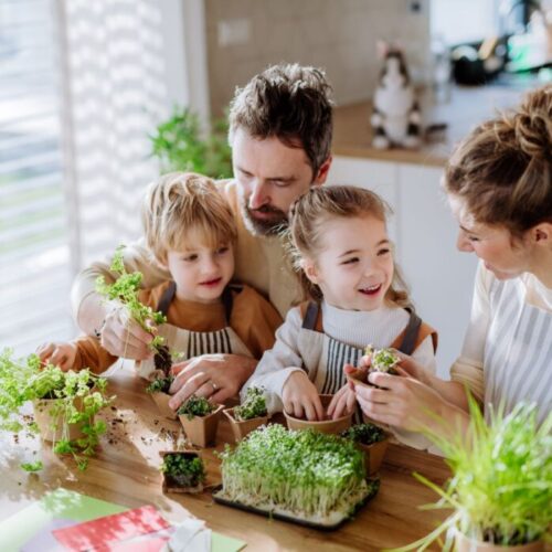 The benefits of planting a family herb garden
