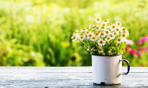 Reducing your food’s carbon footprint