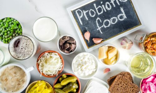 The role of probiotics