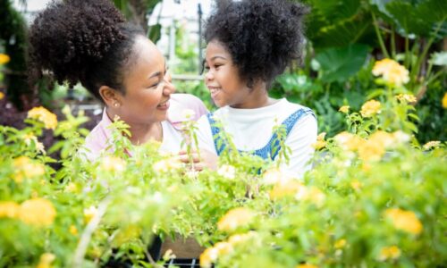The benefits of planting a family herb garden