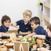 Choosing the right start with Blossom Nursery