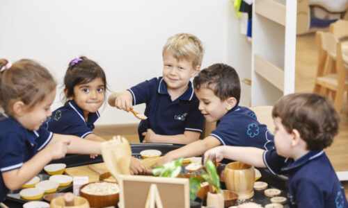 Choosing the right start with Blossom Nursery