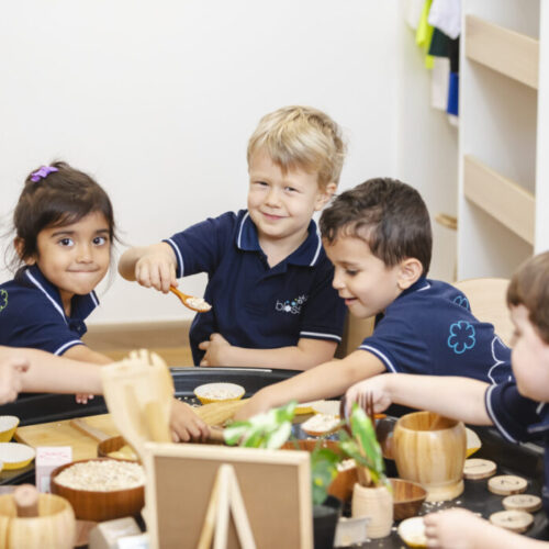 Choosing the right start with Blossom Nursery