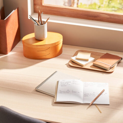 Seven tips for homework success