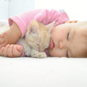 How to introduce a new baby to your pet